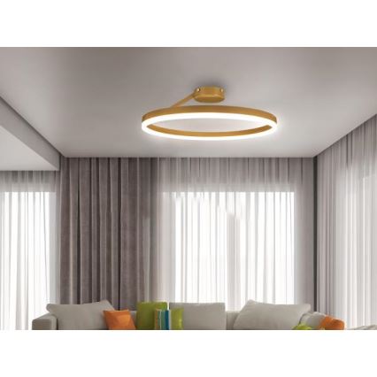 Dimbare LED bevestigde hanglamp LED/40W/230V 3000-6500K goud + afstandsbediening