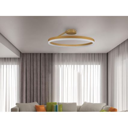 Dimbare LED bevestigde hanglamp LED/40W/230V 3000-6500K goud + afstandsbediening
