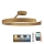 Dimbare LED bevestigde hanglamp LED/72W/230V 3000-6500K goud + afstandsbediening