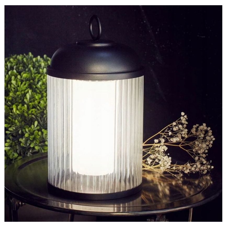 Dimbare LED buitenlamp CANARI LED/2W/5V IP44