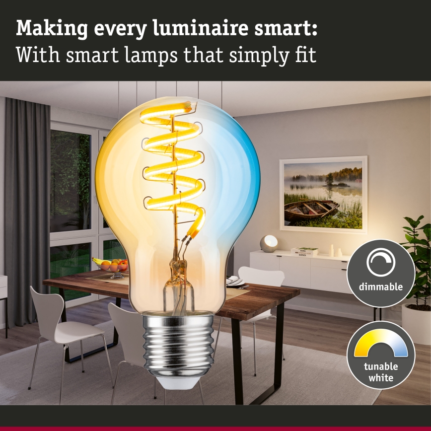 Dimbare LED-gloeilamp FILAMENT E27/7,5W/230V 2200-5500K - Paulmann 29155