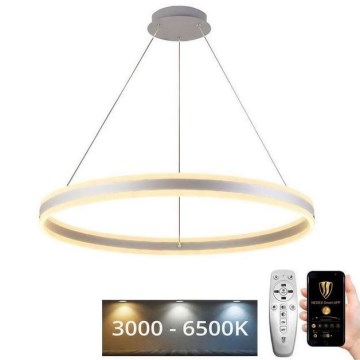 Dimbare LED hanglamp aan een koord LED/110W/230V 3000-6500K diameter 80 cm + afstandsbediening