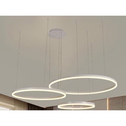 Dimbare LED hanglamp aan een koord LED/125W/230V 3000-6500K diameter 80 cm + afstandsbediening