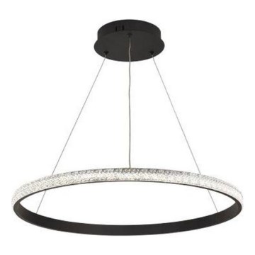 Dimbare LED hanglamp aan een koord LED/40W/230V 3000-6500K + afstandsbediening