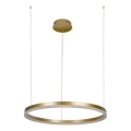 Dimbare LED hanglamp aan een koord LED/42W/230V 3000-6500K + afstandsbediening