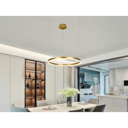 Dimbare LED hanglamp aan een koord LED/42W/230V 3000-6500K + afstandsbediening