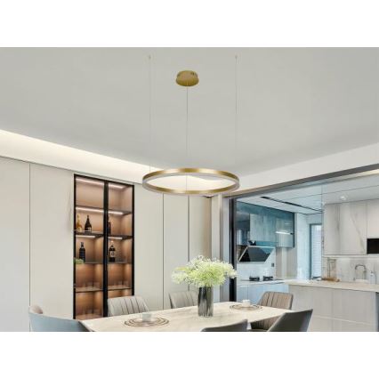 Dimbare LED hanglamp aan een koord LED/42W/230V 3000-6500K + afstandsbediening