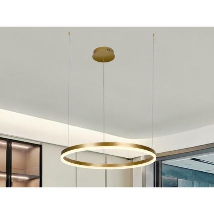 Dimbare LED hanglamp aan een koord LED/42W/230V 3000-6500K + afstandsbediening