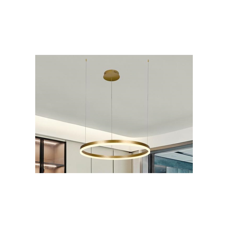 Dimbare LED hanglamp aan een koord LED/42W/230V 3000-6500K + afstandsbediening