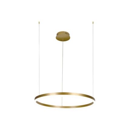 Dimbare LED hanglamp aan een koord LED/42W/230V 3000-6500K + afstandsbediening