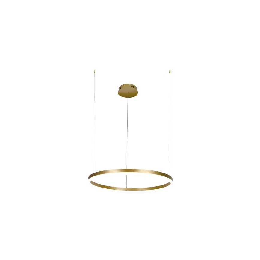 Dimbare LED hanglamp aan een koord LED/42W/230V 3000-6500K + afstandsbediening