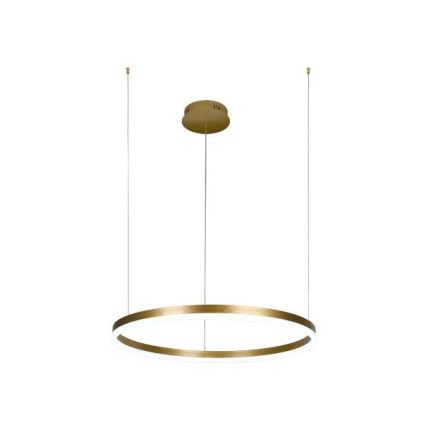 Dimbare LED hanglamp aan een koord LED/42W/230V 3000-6500K + afstandsbediening