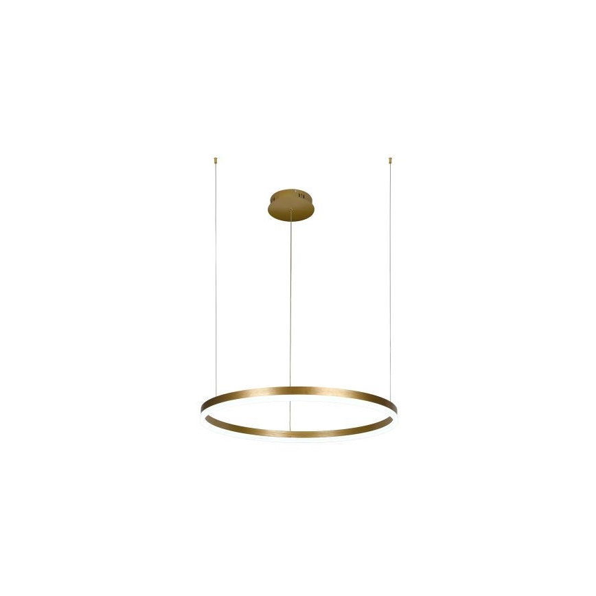 Dimbare LED hanglamp aan een koord LED/42W/230V 3000-6500K + afstandsbediening