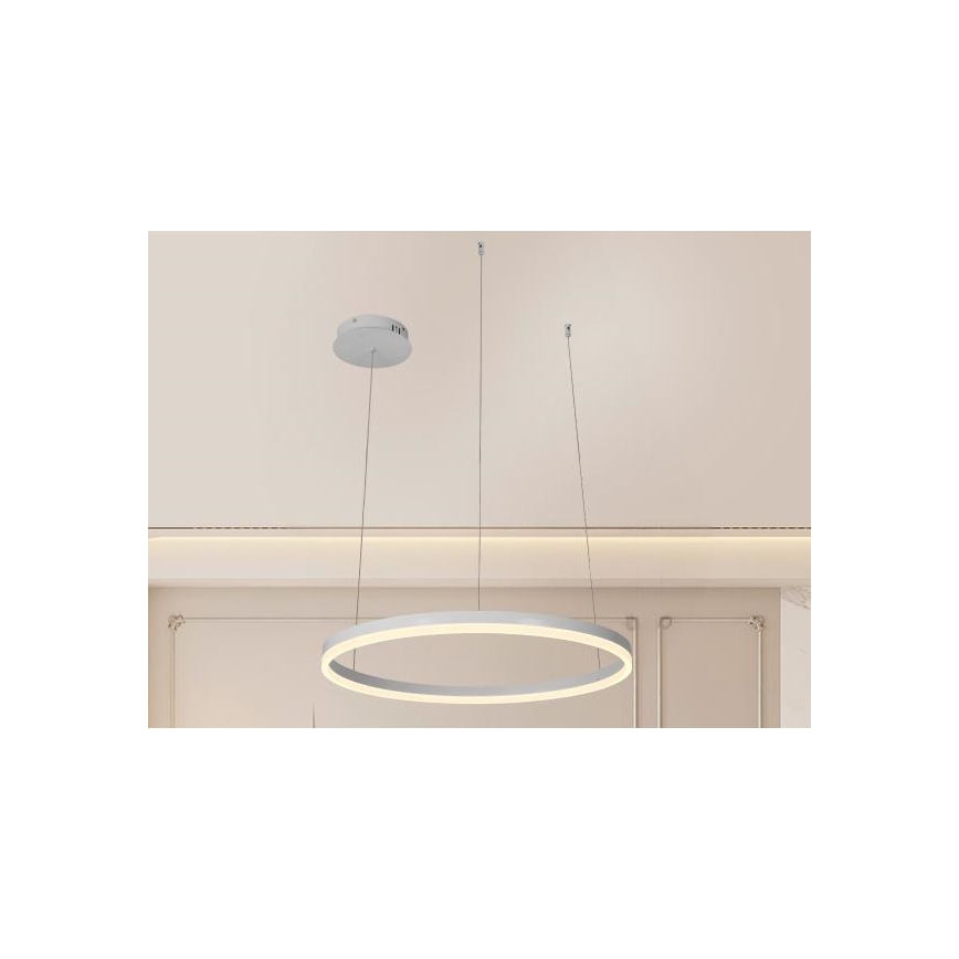 Dimbare LED hanglamp aan een koord LED/42W/230V 3000-6500K diameter 60 cm + afstandsbediening