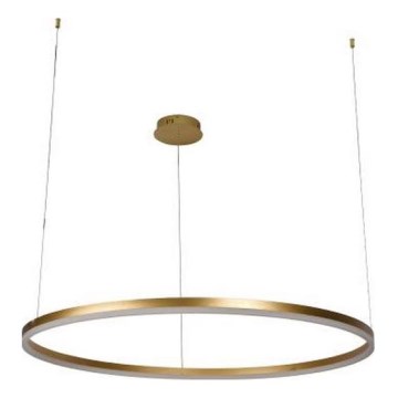 Dimbare LED hanglamp aan een koord LED/55W/230V 3000-6500K + afstandsbediening