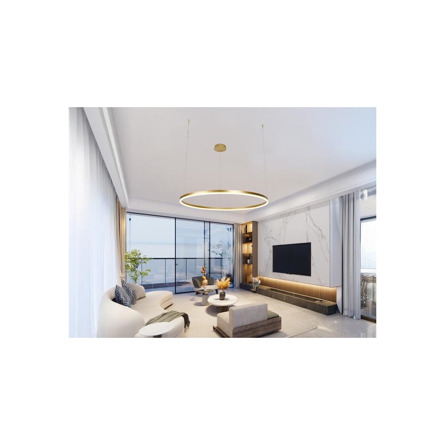 Dimbare LED hanglamp aan een koord LED/55W/230V 3000-6500K + afstandsbediening