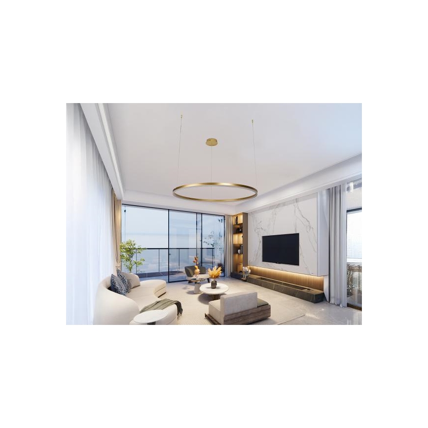 Dimbare LED hanglamp aan een koord LED/55W/230V 3000-6500K + afstandsbediening