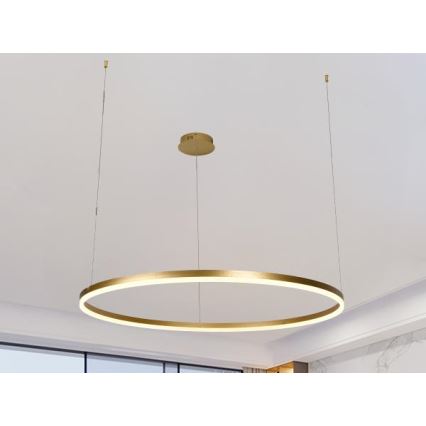 Dimbare LED hanglamp aan een koord LED/55W/230V 3000-6500K + afstandsbediening