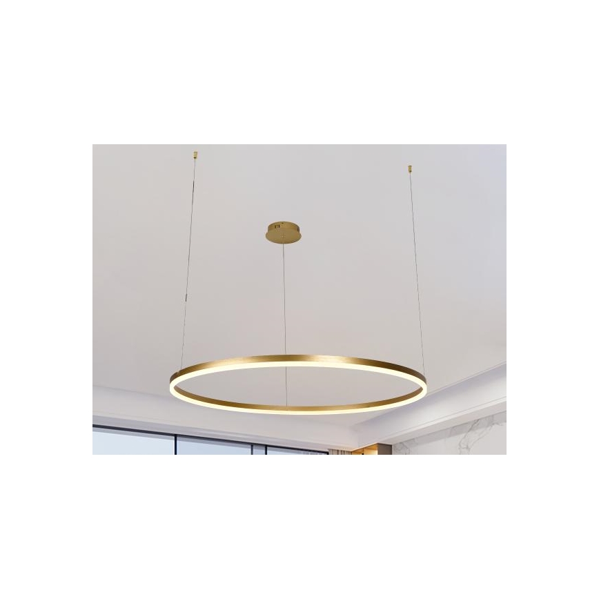 Dimbare LED hanglamp aan een koord LED/55W/230V 3000-6500K + afstandsbediening