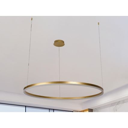 Dimbare LED hanglamp aan een koord LED/55W/230V 3000-6500K + afstandsbediening