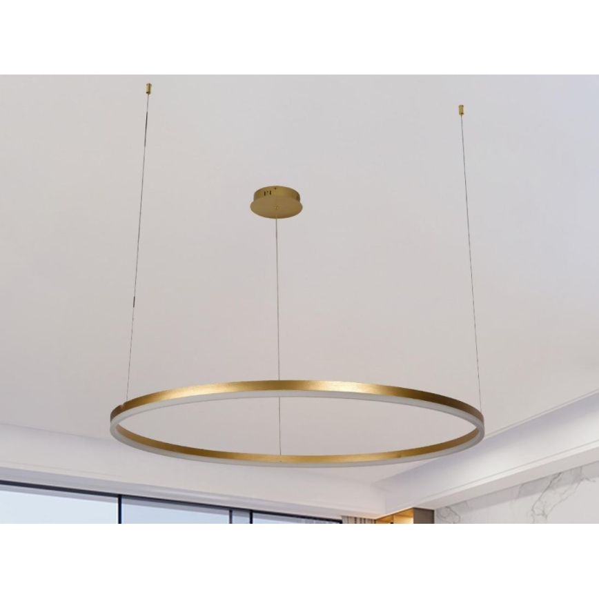 Dimbare LED hanglamp aan een koord LED/55W/230V 3000-6500K + afstandsbediening