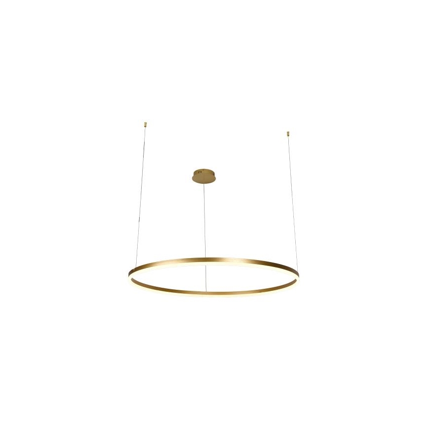 Dimbare LED hanglamp aan een koord LED/55W/230V 3000-6500K + afstandsbediening