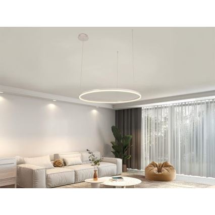 Dimbare LED hanglamp aan een koord LED/55W/230V 3000-6500K + afstandsbediening