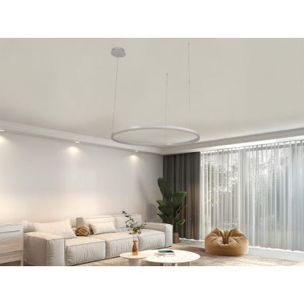 Dimbare LED hanglamp aan een koord LED/55W/230V 3000-6500K + afstandsbediening