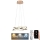 Dimbare LED hanglamp aan een koord LED/65W/230V 3000-6500K goud + afstandsbediening