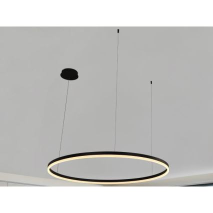 Dimbare LED hanglamp aan een koord LED/72W/230V 3000-6500K + afstandsbediening