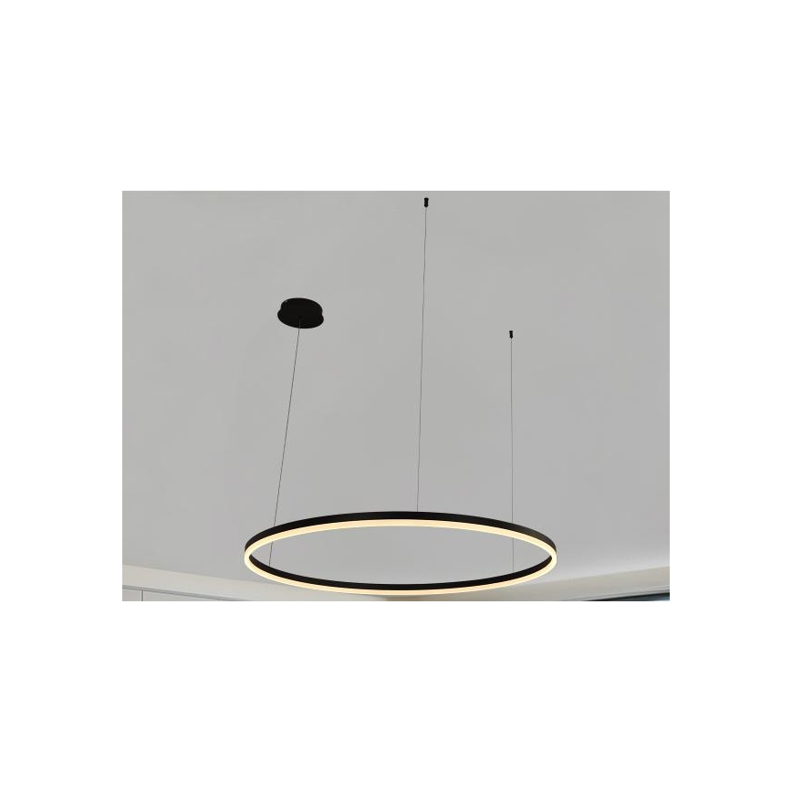 Dimbare LED hanglamp aan een koord LED/72W/230V 3000-6500K + afstandsbediening