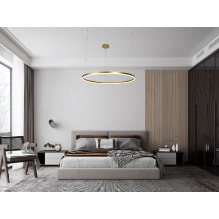 Dimbare LED hanglamp aan een koord LED/72W/230V 3000-6500K + afstandsbediening