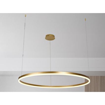 Dimbare LED hanglamp aan een koord LED/72W/230V 3000-6500K + afstandsbediening