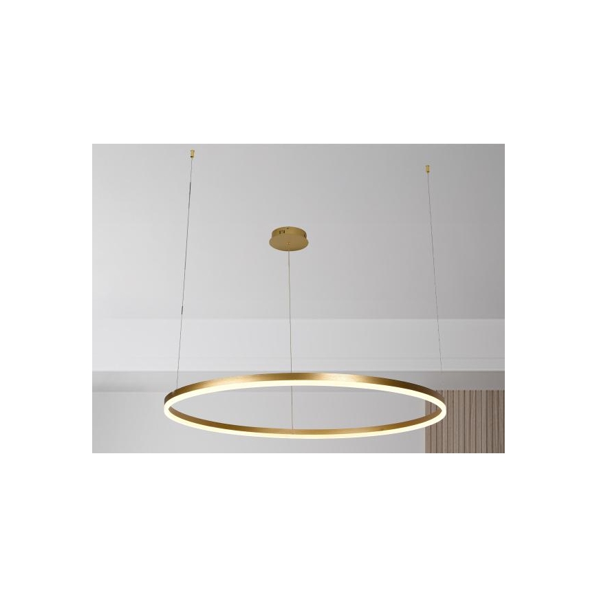 Dimbare LED hanglamp aan een koord LED/72W/230V 3000-6500K + afstandsbediening