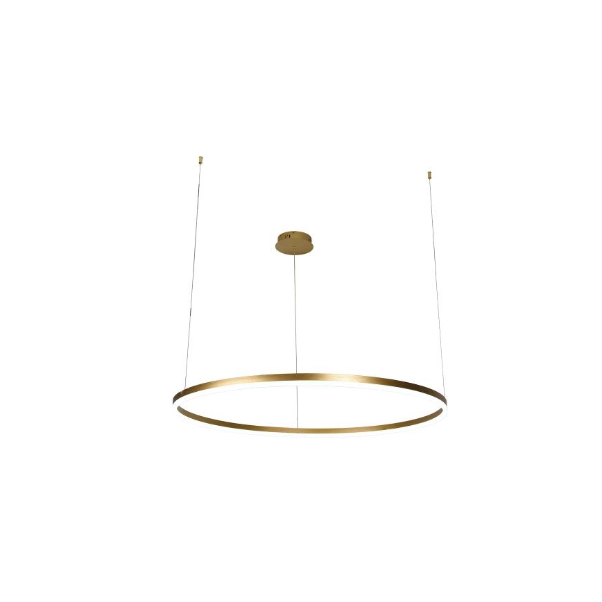 Dimbare LED hanglamp aan een koord LED/72W/230V 3000-6500K + afstandsbediening