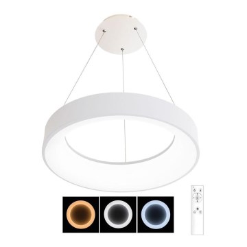 Dimbare LED Hanglamp aan een koord NEST LED/40W/230V 3000-6500K wit