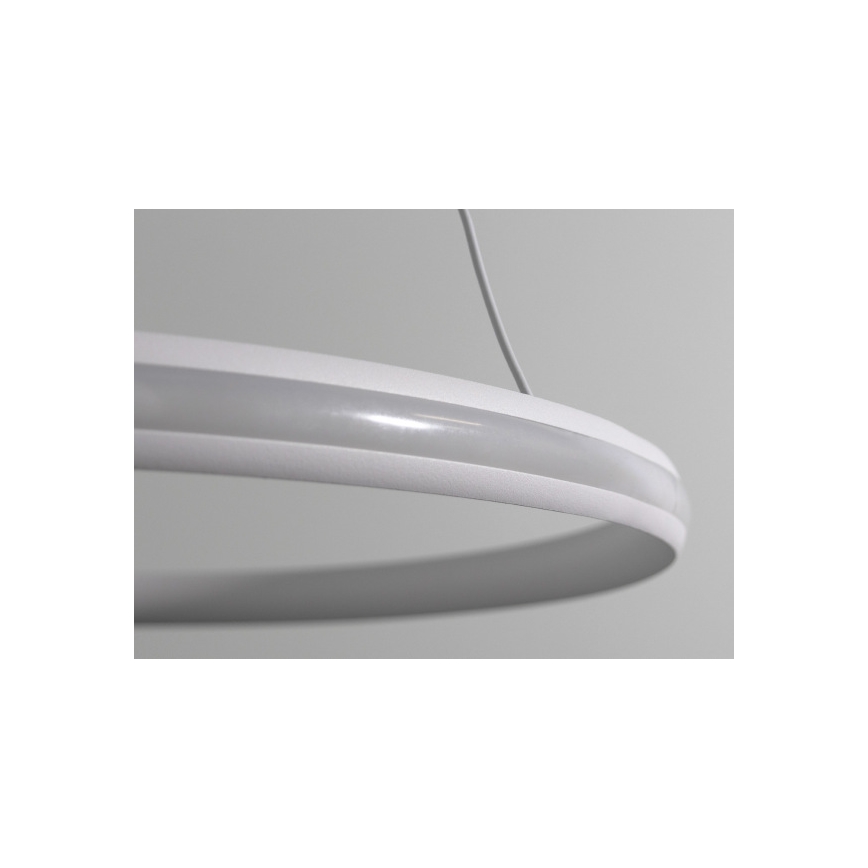 LED dimbare hanglamp aan kabel LED/55W/230V 3000-6500K Ø 60 cm + afstandsbediening