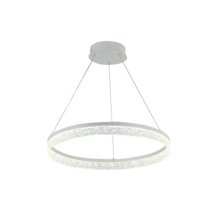 Dimbare LED-pendellamp aan kabel ALIANZ LED/60W/230V 3000–6000K Ø 80 cm + afstandsbediening