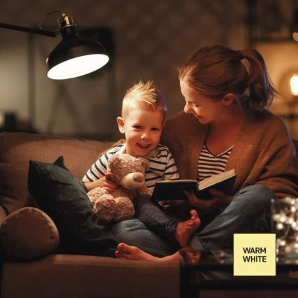 Dimbare LED-lamp A60 E27/10,5W/230V 2700K