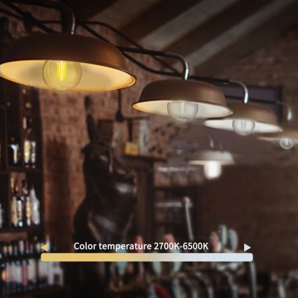 Dimbare LED Lamp FILAMENT G45 E14/4,5W/230V 2700-6500K Wi-Fi - Aigostar