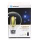 Dimbare LED Lamp FILAMENT G95 E27/6W/230V 2700-6500K Wi-Fi - Aigostar