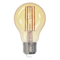 Dimbare LED Lamp FILAMENT VINTAGE A60 E27/12W/230V 2000K