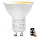 Dimbare LED Lamp GU10/6,5W/230V 2700-6500K - Aigostar