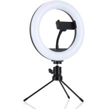 Dimbare LED Lamp met Driepoot en Houder voor Vloggen LED/10W/USB