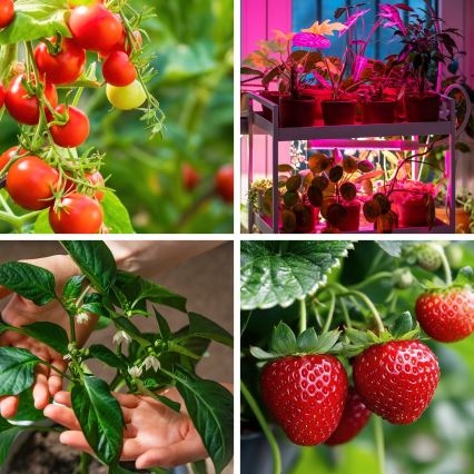 LED Dimbaar flexible tafellamp met clip voor het kweken van planten VITARO 4xLED/10W/230V zwart