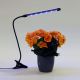 Dimbare LED lamp met klem voor het verlichten van planten LED/3W/230V zwart