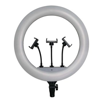Dimbare LED-lamp met statief en houder voor vloggen LED/55W/230V CRI 90 + afstandsbediening
