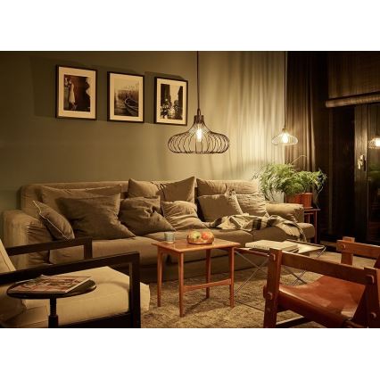 Dimbare LED Lamp Philips E27/8W/230V 2000K