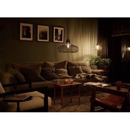 Dimbare LED Lamp Philips E27/8W/230V 2000K