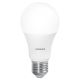 Dimbare LED Lamp SUN@HOME A60 E27/9W/230V Wi-Fi CRI 95 - Ledvance